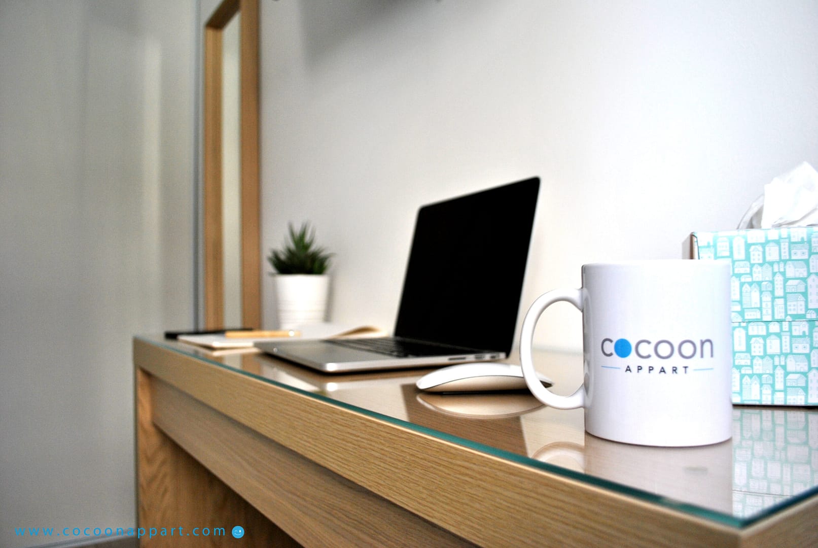 cocoon photo espace travail
