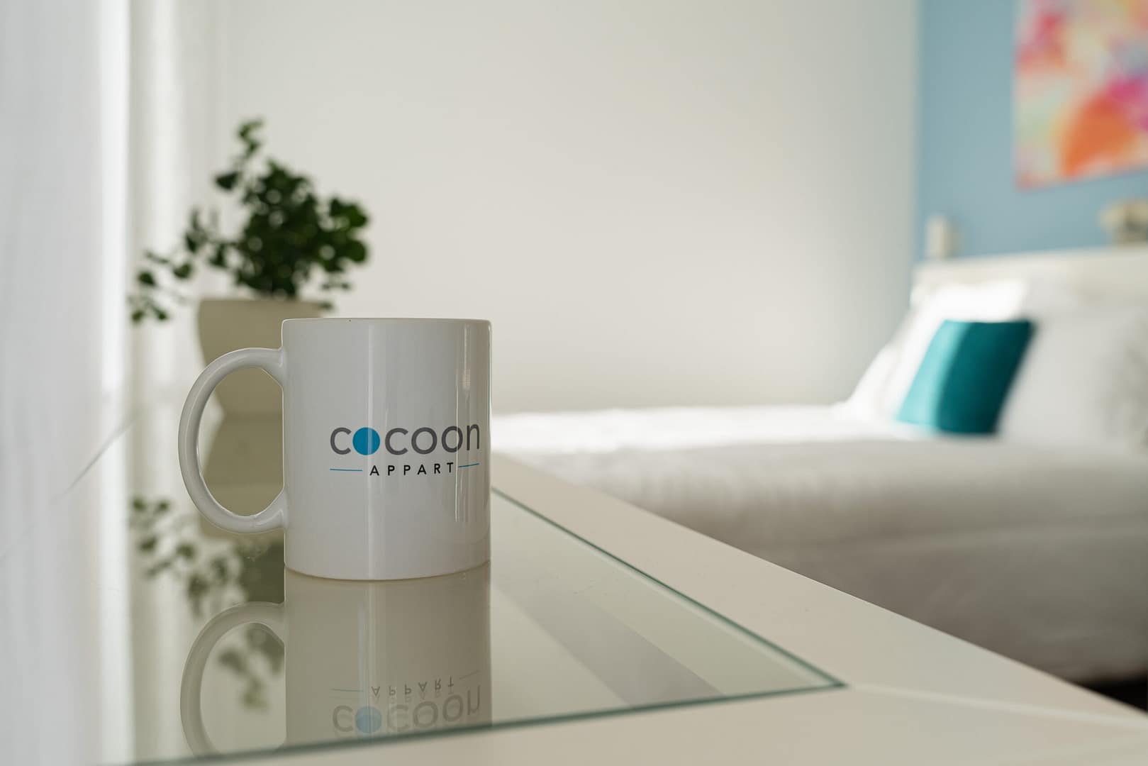 Cocooning appartement location AIRBnB Booking Lyon