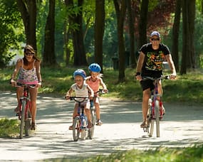 Que vous soyez un cycliste passionné ou simplement à la recherche d’une balade relaxante, la ViaRhôna vous réserve une expérience riche en émotions !