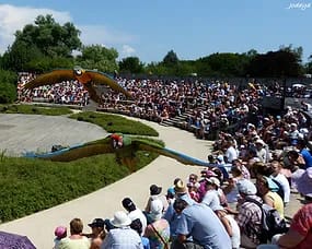 Offrez-vous une escapade mémorable au Parc des Oiseaux de Villars-Les-Dombes, où la nature vous dévoile ses trésors les plus précieux !